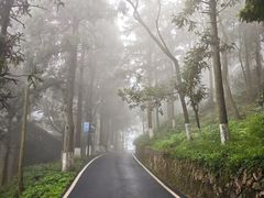 -莫干山风景区
