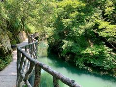 -石台牯牛降景区