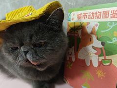 -瑞虹新天地月亮湾