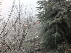 -江南天池