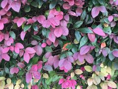 -苏州河梦清园环保主题公园