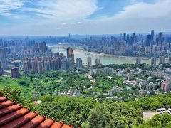 -南山植物园