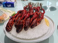 -洪福龙虾
