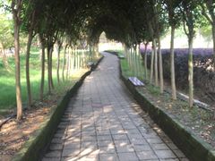 -武汉紫薇都市田园