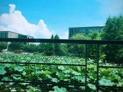 -3W咖啡(国家软件园店)