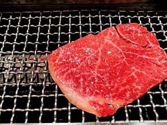 -俺的焼肉(銀座9丁目店)
