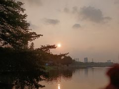 -海珠湖公园