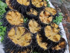 -抹直口特色菜馆(一店)