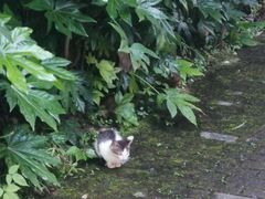 -九龙湾·御膳坊(九龙窠路店)