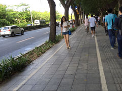 -东华假日酒店自助餐
