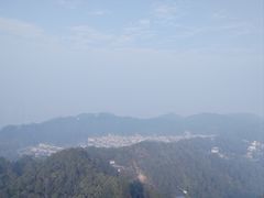 -大金鹰园