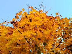 -北京西山国家森林公园