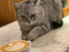 -隅cafe(傅厚岗店)