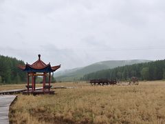 -塞罕坝国家级自然保护区