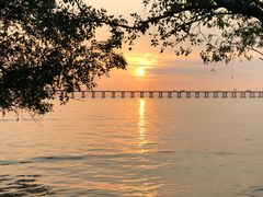 -宝安西湾红树林湿地公园