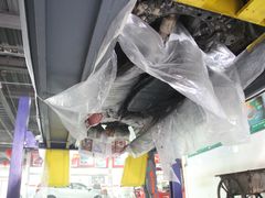 底盘装甲-XPEL（大望路超级旗舰店）(国贸店)