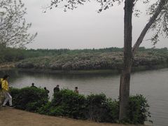 -丁香湖公园