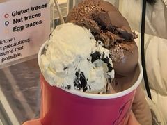 -Dooley's Premium Ice Cream