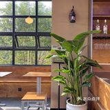 宁波新店｜这家咖啡店的每扇窗景都绝美🪟
