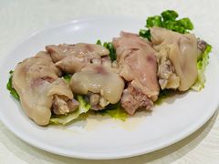 -丁老爷子苏香圆