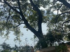 -严子陵钓台(富春江小三峡)