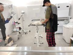 -comecome来吧宠物(奥克斯中心店)