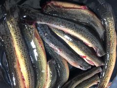 -铜元老码头鳝鱼火锅