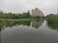 -前关湿地公园