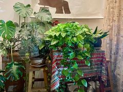 -日舞(鹭江道店)