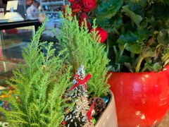 -广州富力君悦大酒店·凯菲厅