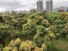 -深圳国际园林花卉博览园