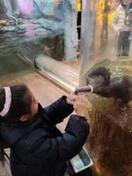 -Zoolung Zoolung动物主题公园(海信广场店)