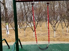 -大兴滨河森林公园