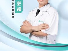 -东莞宠友24H宠物中心医院·转诊夜诊·异宠(新河北路院)