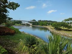 -宝安西湾红树林湿地公园