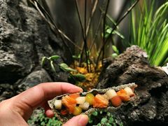 -曲廊院(东四十一条店)