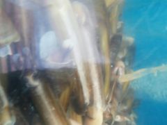 -雅逸居海鲜小厨