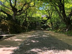 -常寂光寺