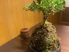 -无味舒食(思南公馆店)