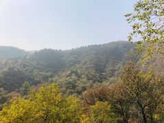 -北京鹫峰国家森林公园