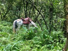 -西岭雪山大飞水景区