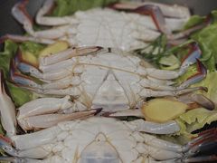 -众彩物流水产市场