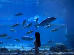 -华夏文旅海洋公园