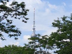 -文华公园(禅城区)