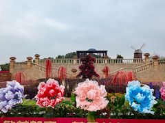 -东莞植物园