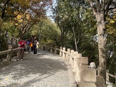 -灵岩山风景区