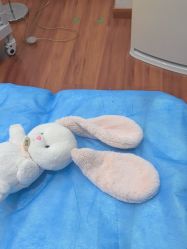 -武汉五洲整形外科医院