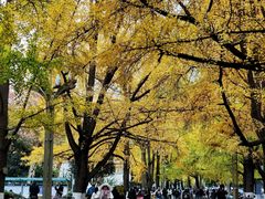 -四川大学(华西校区)