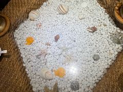 -慢丽江·云南野生菌土鸡锅(西山店)