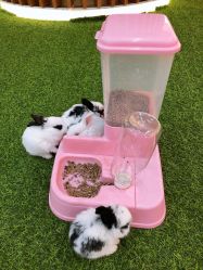 -萌宠亲子动物乐园(槐房万达店)